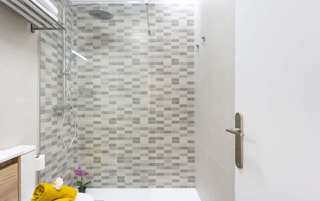 Deluxe Altemar - Photo 25