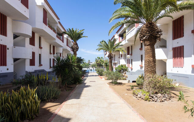 Deluxe Altemar - Photo 34