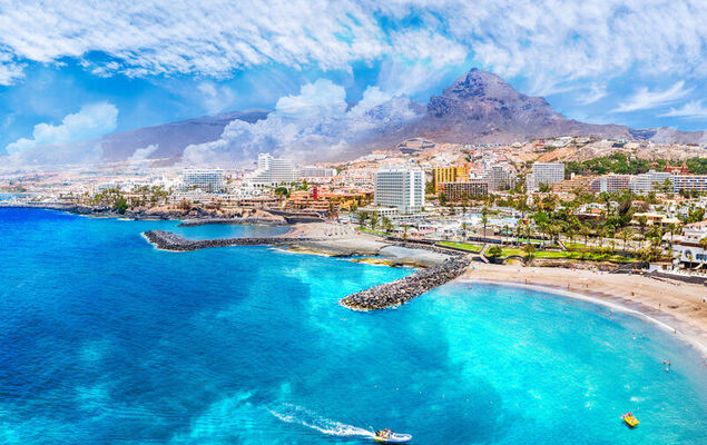 Comfy Altemar - Photo 33